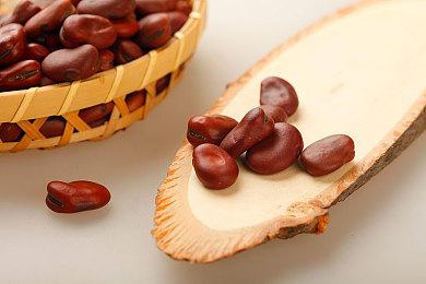 《贪婪之秋2》即将进入抢先体验 公布开发路线图